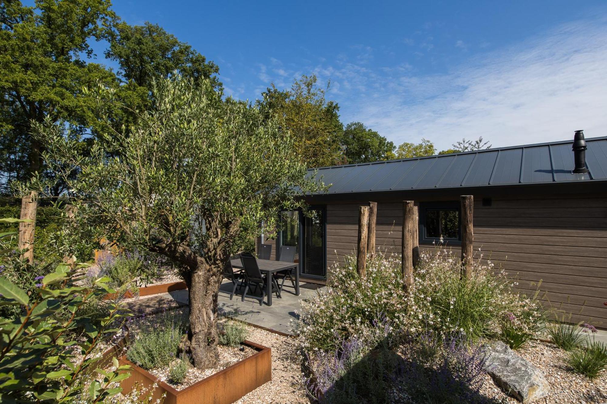Modern Ingericht Chalet Op Groen Park Op De Veluwe 에페 외부 사진