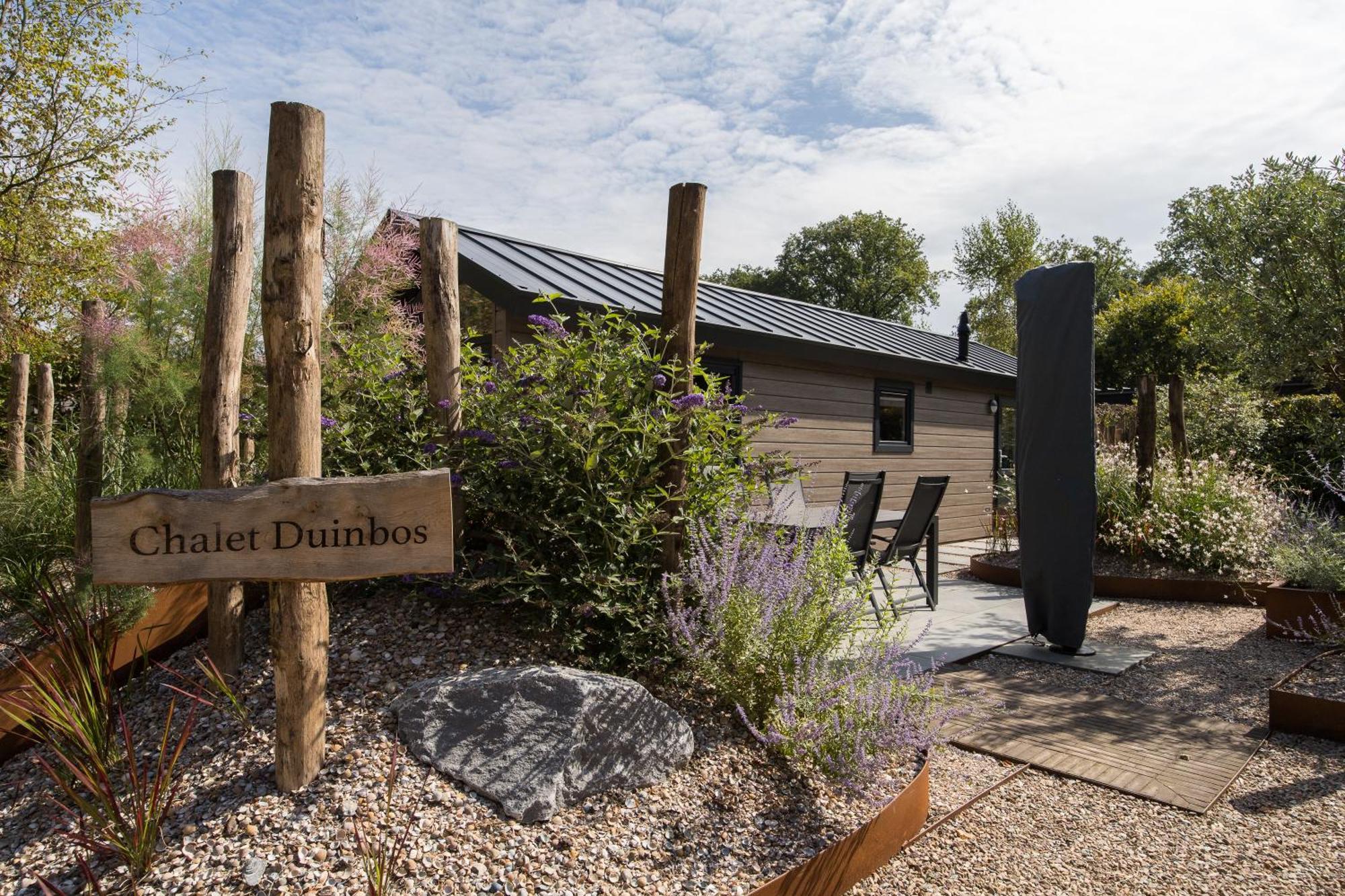 Modern Ingericht Chalet Op Groen Park Op De Veluwe 에페 외부 사진