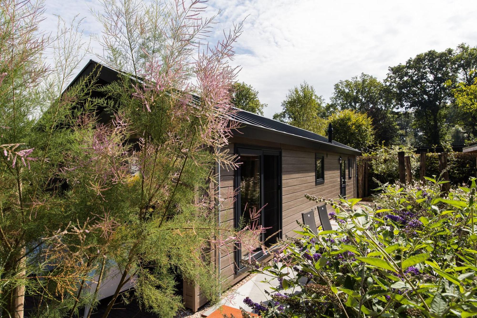 Modern Ingericht Chalet Op Groen Park Op De Veluwe 에페 외부 사진