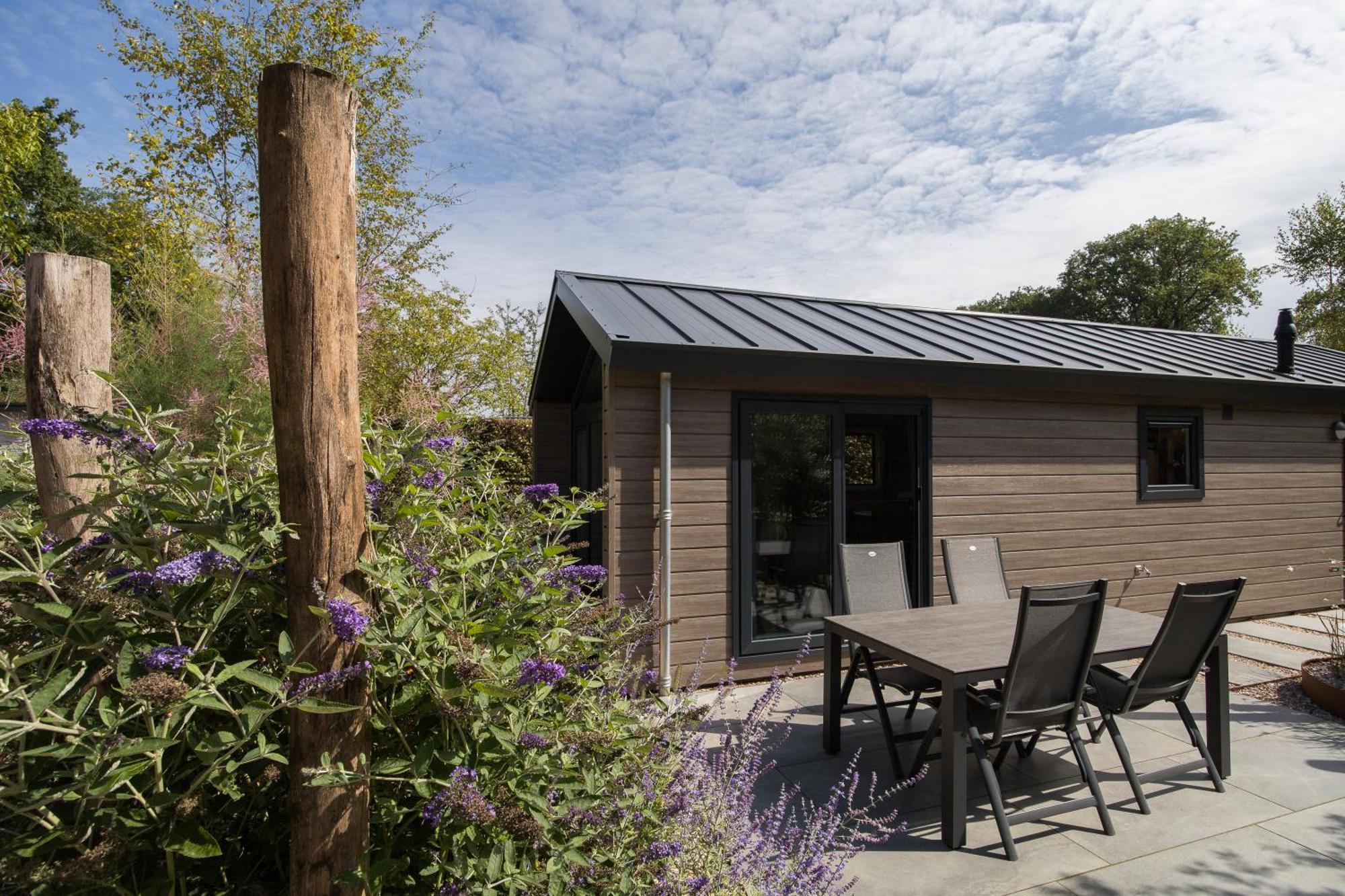 Modern Ingericht Chalet Op Groen Park Op De Veluwe 에페 외부 사진